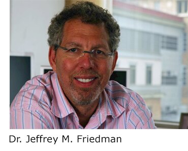 Dr. Jeffrey Friedman